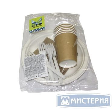 Набор одноразовой посуды "Эко" на 6 персон [6 стак. 250 мл, карт+6 тар. d225 мм, сах.тростник+6 вил.+6 салф.] 10 упак/кор РОССИЯ